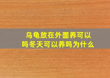 乌龟放在外面养可以吗冬天可以养吗为什么