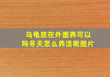 乌龟放在外面养可以吗冬天怎么养活呢图片