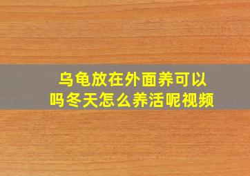 乌龟放在外面养可以吗冬天怎么养活呢视频