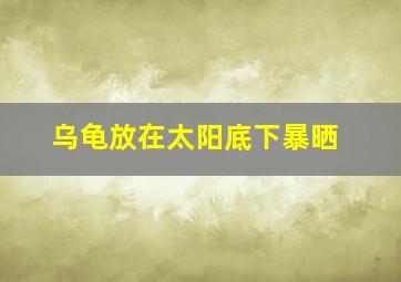 乌龟放在太阳底下暴晒