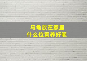 乌龟放在家里什么位置养好呢