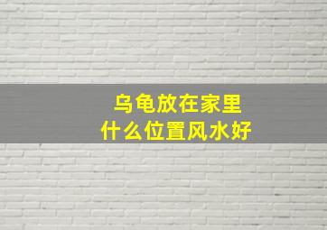 乌龟放在家里什么位置风水好