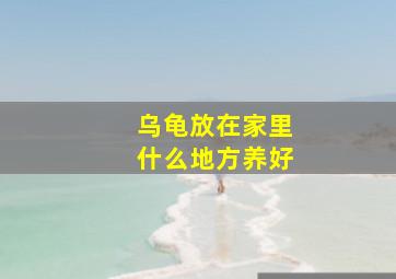 乌龟放在家里什么地方养好