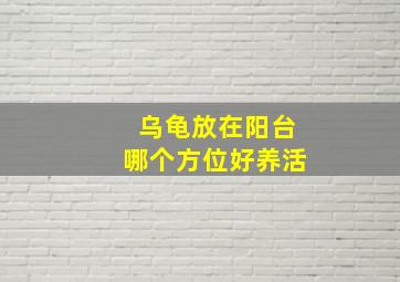 乌龟放在阳台哪个方位好养活