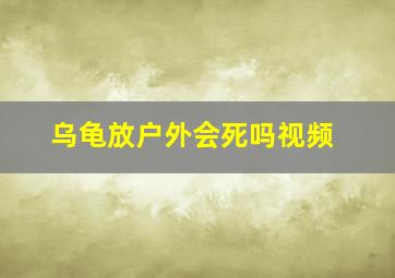 乌龟放户外会死吗视频