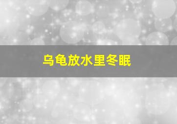 乌龟放水里冬眠