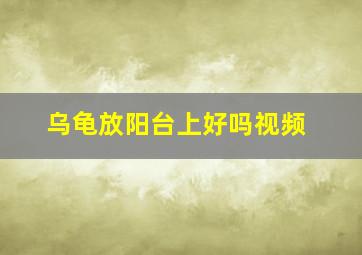 乌龟放阳台上好吗视频