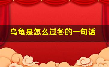 乌龟是怎么过冬的一句话