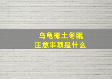 乌龟椰土冬眠注意事项是什么