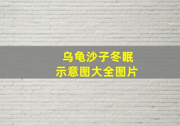 乌龟沙子冬眠示意图大全图片