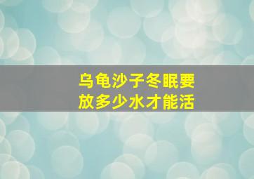 乌龟沙子冬眠要放多少水才能活