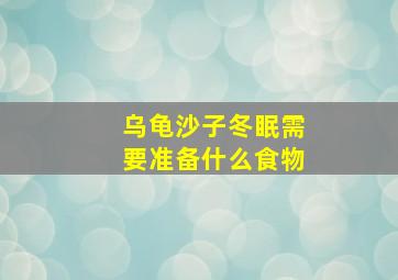 乌龟沙子冬眠需要准备什么食物