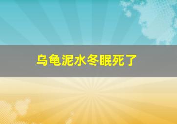 乌龟泥水冬眠死了