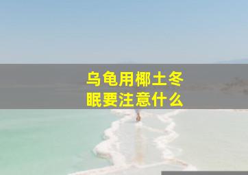 乌龟用椰土冬眠要注意什么