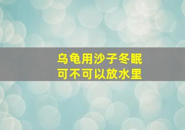 乌龟用沙子冬眠可不可以放水里