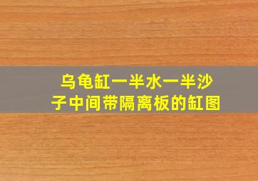 乌龟缸一半水一半沙子中间带隔离板的缸图