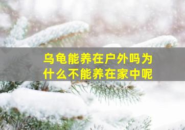 乌龟能养在户外吗为什么不能养在家中呢