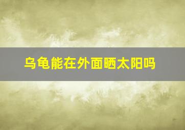 乌龟能在外面晒太阳吗