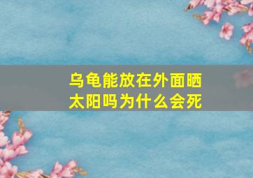 乌龟能放在外面晒太阳吗为什么会死