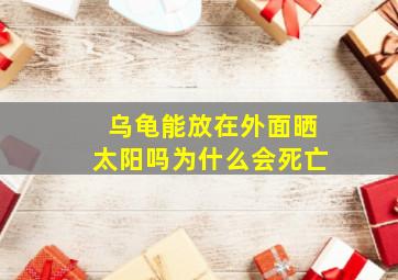 乌龟能放在外面晒太阳吗为什么会死亡