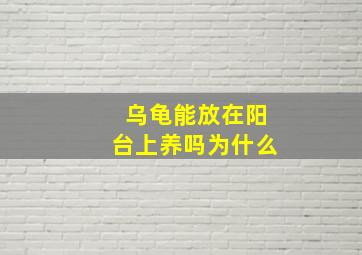 乌龟能放在阳台上养吗为什么