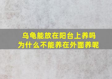 乌龟能放在阳台上养吗为什么不能养在外面养呢