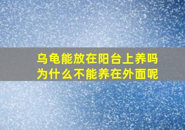 乌龟能放在阳台上养吗为什么不能养在外面呢