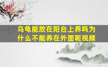 乌龟能放在阳台上养吗为什么不能养在外面呢视频