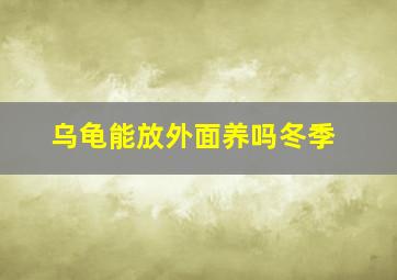 乌龟能放外面养吗冬季