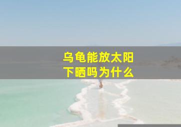 乌龟能放太阳下晒吗为什么