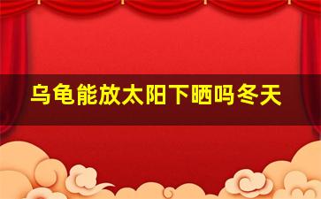 乌龟能放太阳下晒吗冬天