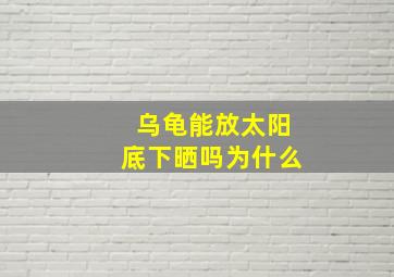 乌龟能放太阳底下晒吗为什么