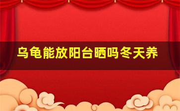 乌龟能放阳台晒吗冬天养