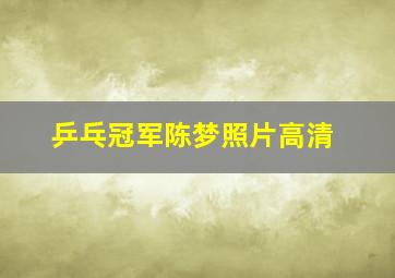 乒乓冠军陈梦照片高清