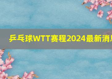 乒乓球WTT赛程2024最新消息