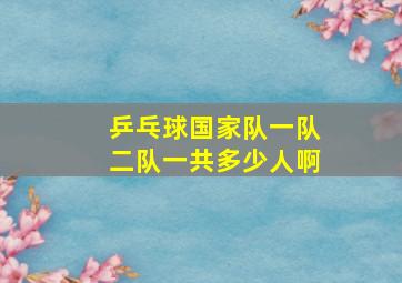 乒乓球国家队一队二队一共多少人啊