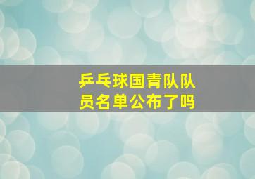 乒乓球国青队队员名单公布了吗