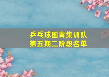 乒乓球国青集训队第五期二阶段名单