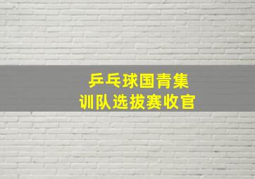 乒乓球国青集训队选拔赛收官