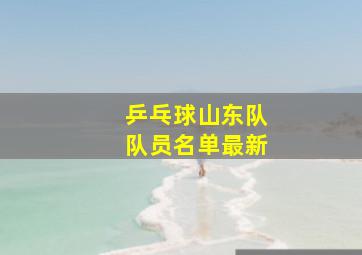 乒乓球山东队队员名单最新