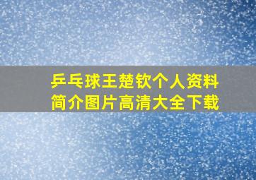 乒乓球王楚钦个人资料简介图片高清大全下载