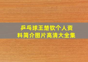 乒乓球王楚钦个人资料简介图片高清大全集