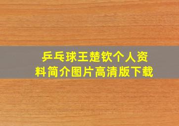 乒乓球王楚钦个人资料简介图片高清版下载