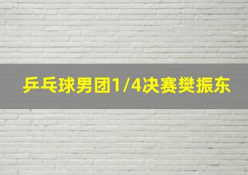 乒乓球男团1/4决赛樊振东