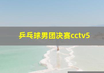 乒乓球男团决赛cctv5