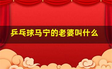 乒乓球马宁的老婆叫什么