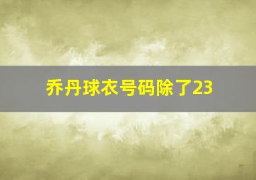 乔丹球衣号码除了23