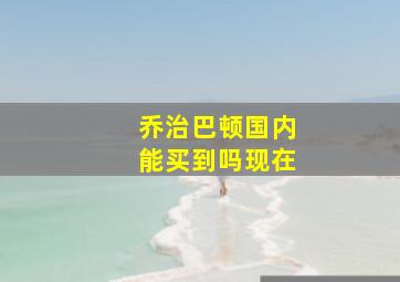 乔治巴顿国内能买到吗现在