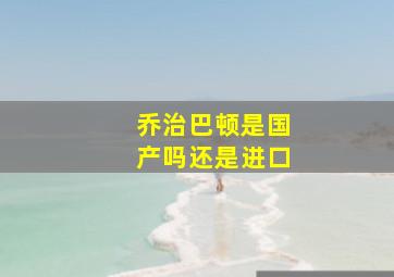 乔治巴顿是国产吗还是进口