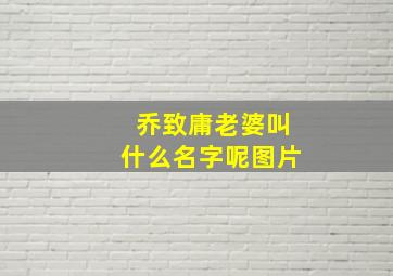 乔致庸老婆叫什么名字呢图片